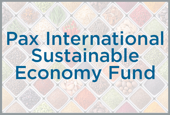 Pax International Sustainable Economy Fund Icon