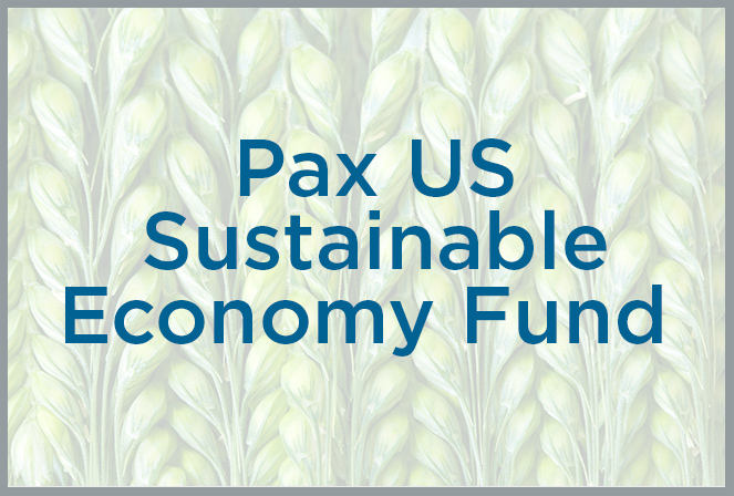Pax US Sustainable Economy Fund Icon
