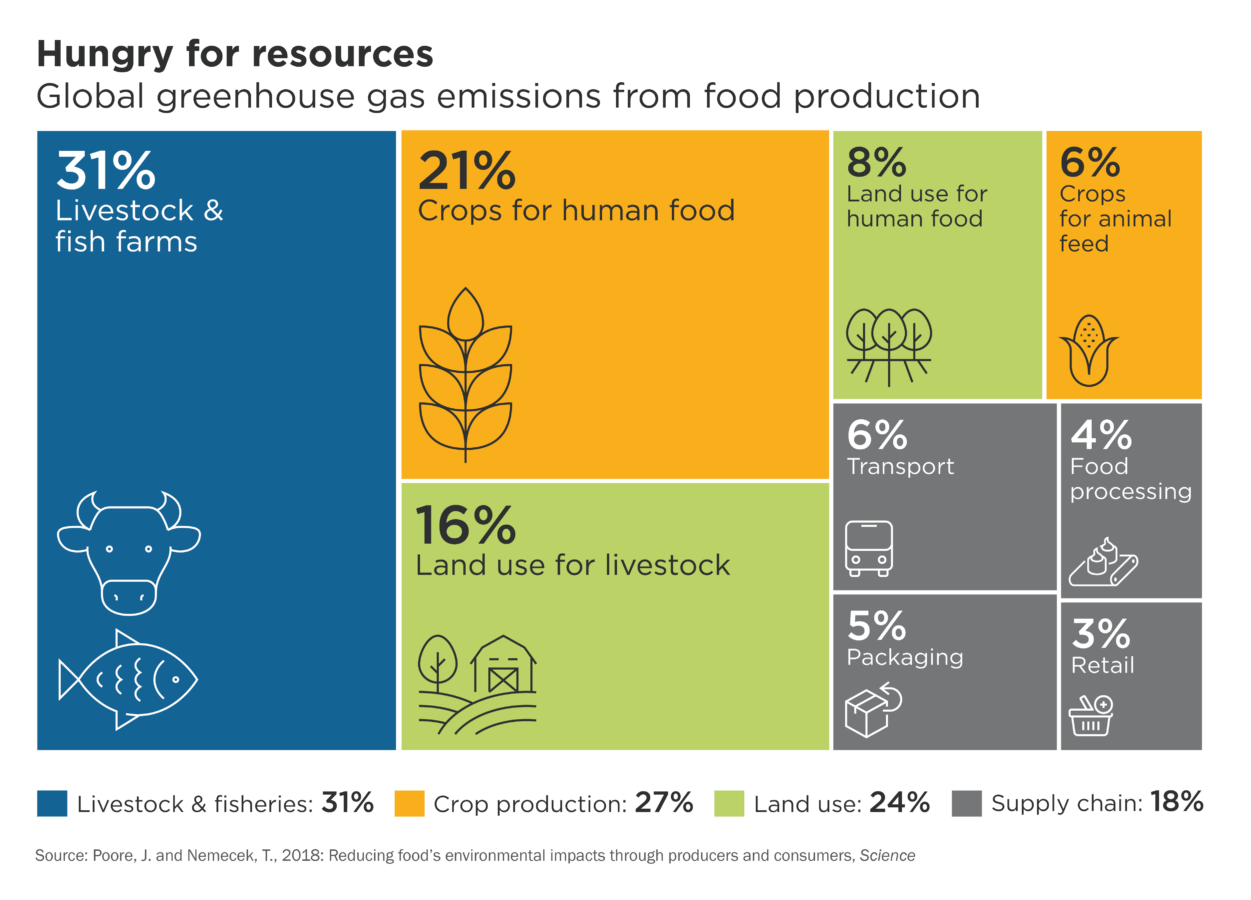 Proportional area chart showing the breakdown of global greenhouse gas emissions relating to food production.