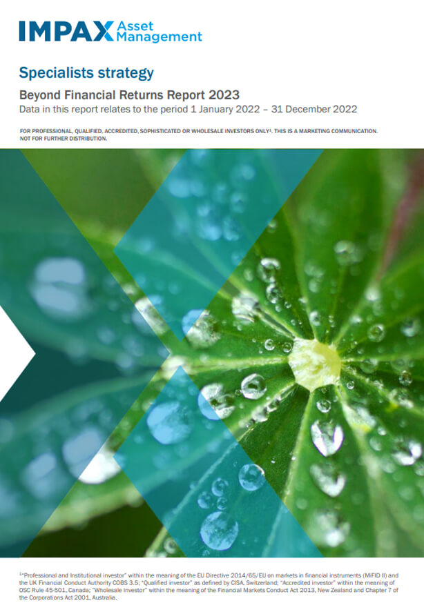 image of beyond financial returns report cover