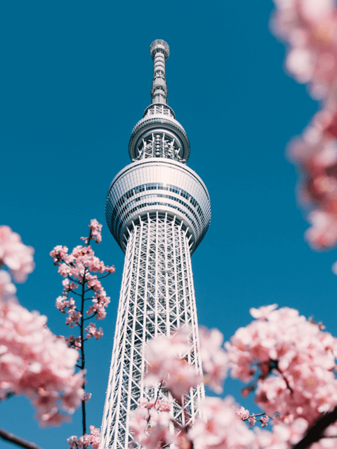 Cherry blossoms and Sakura with Tokyo Sky Tree